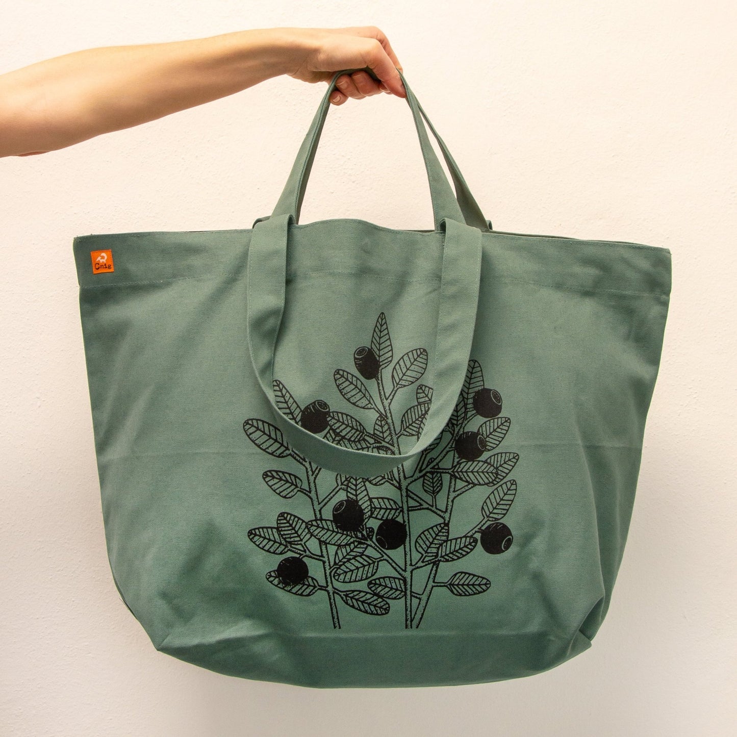große Tasche Blaubeeren in green bay