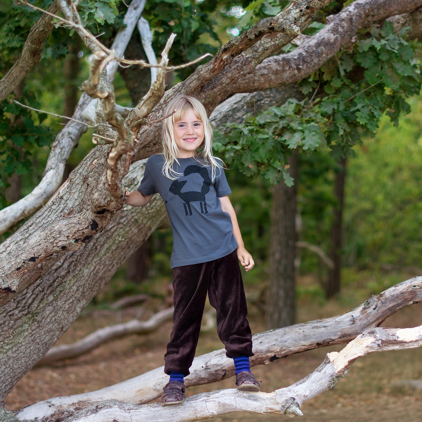 Franzi Fuchs T-Shirt in anthracite