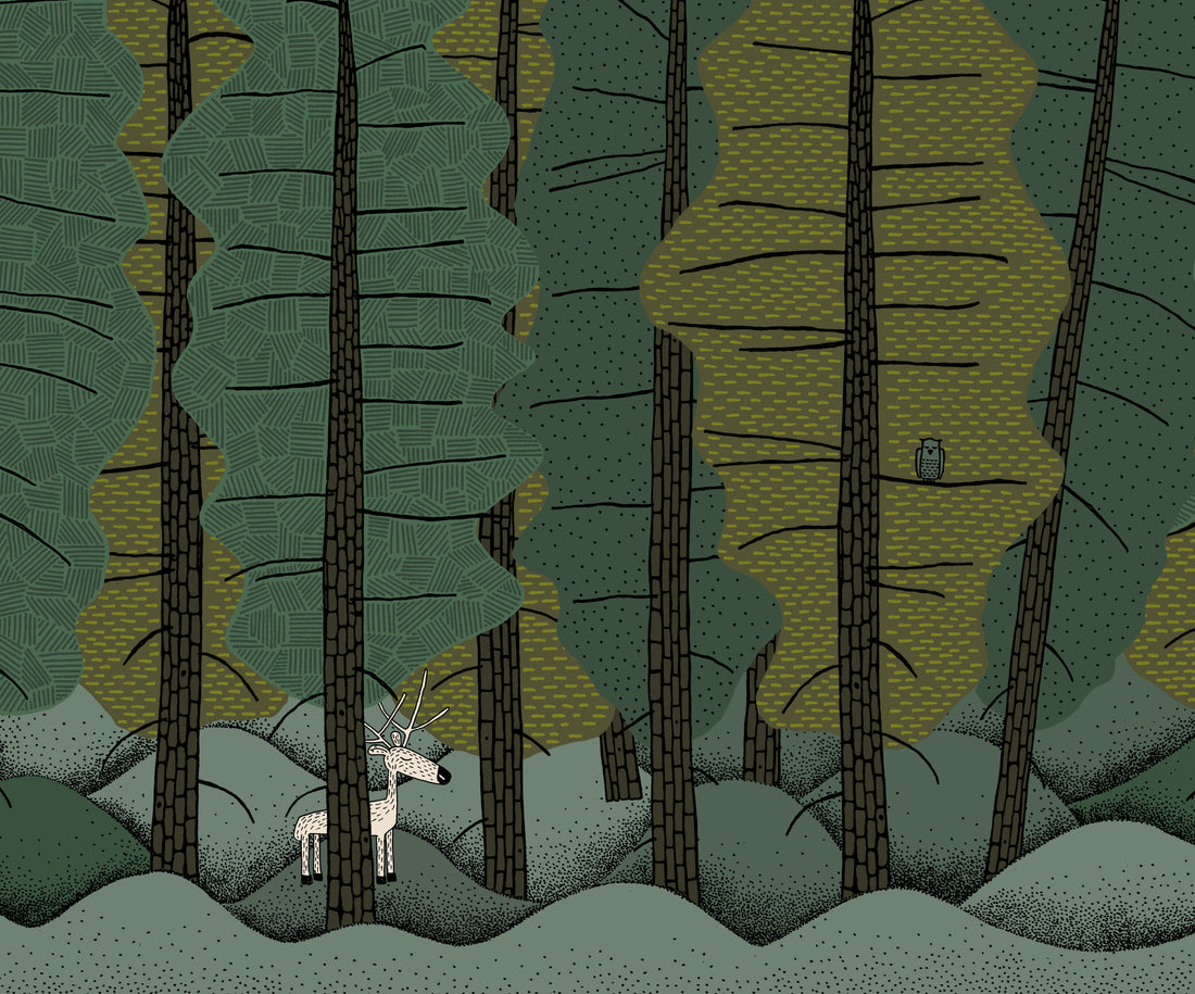 Tannenwald und der scheue Ruben