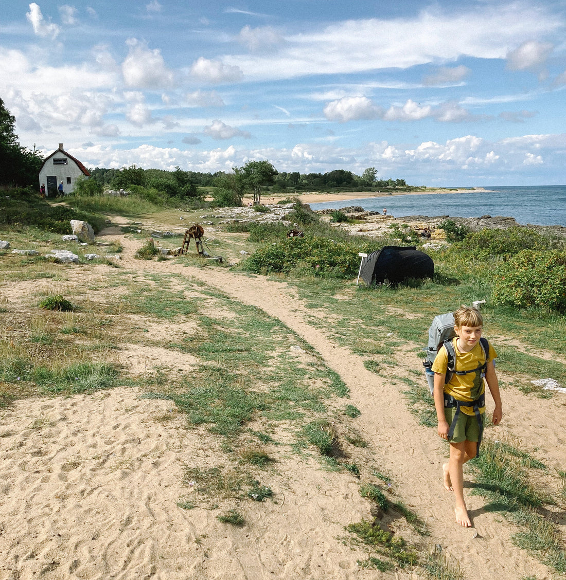 Wilde Küste, Wald und Weidelandschaft – fünf Tage wandern auf dem Österlenleden