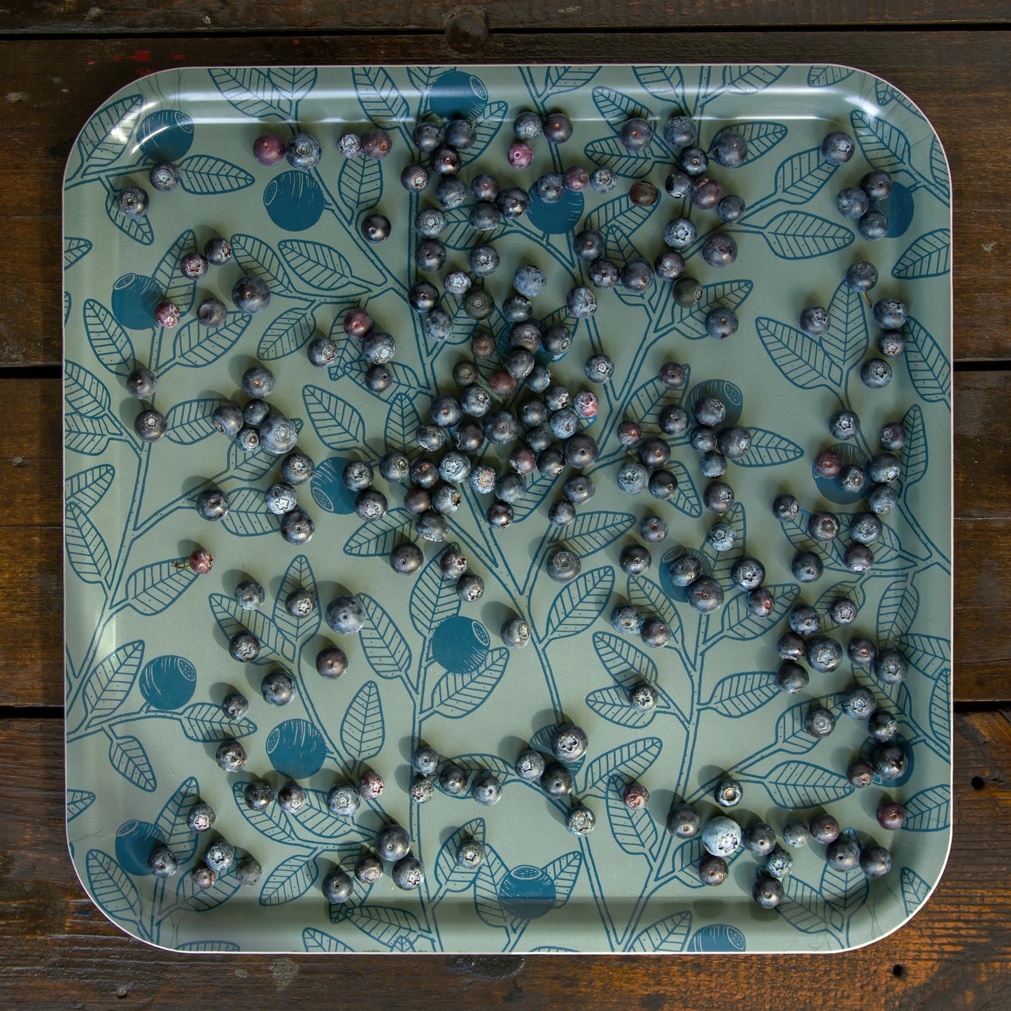 Blaubeeren, großes Tablett 38x38cm