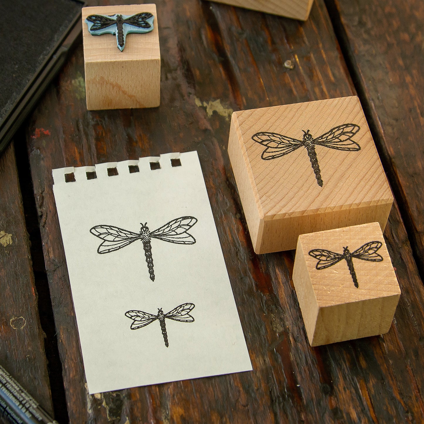 Libellen Stempel aus Buchenholz