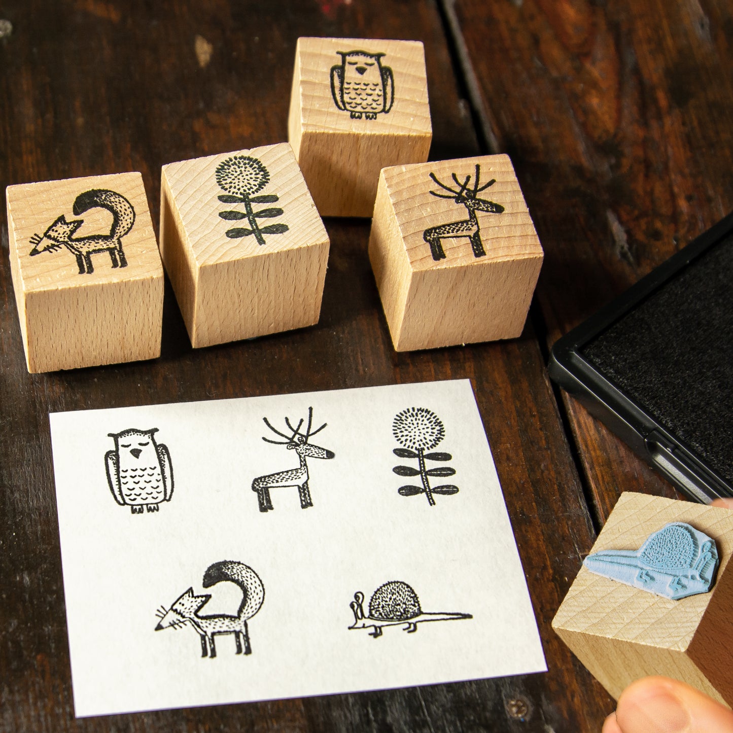 Stempel 5er-Set aus Buchenholz