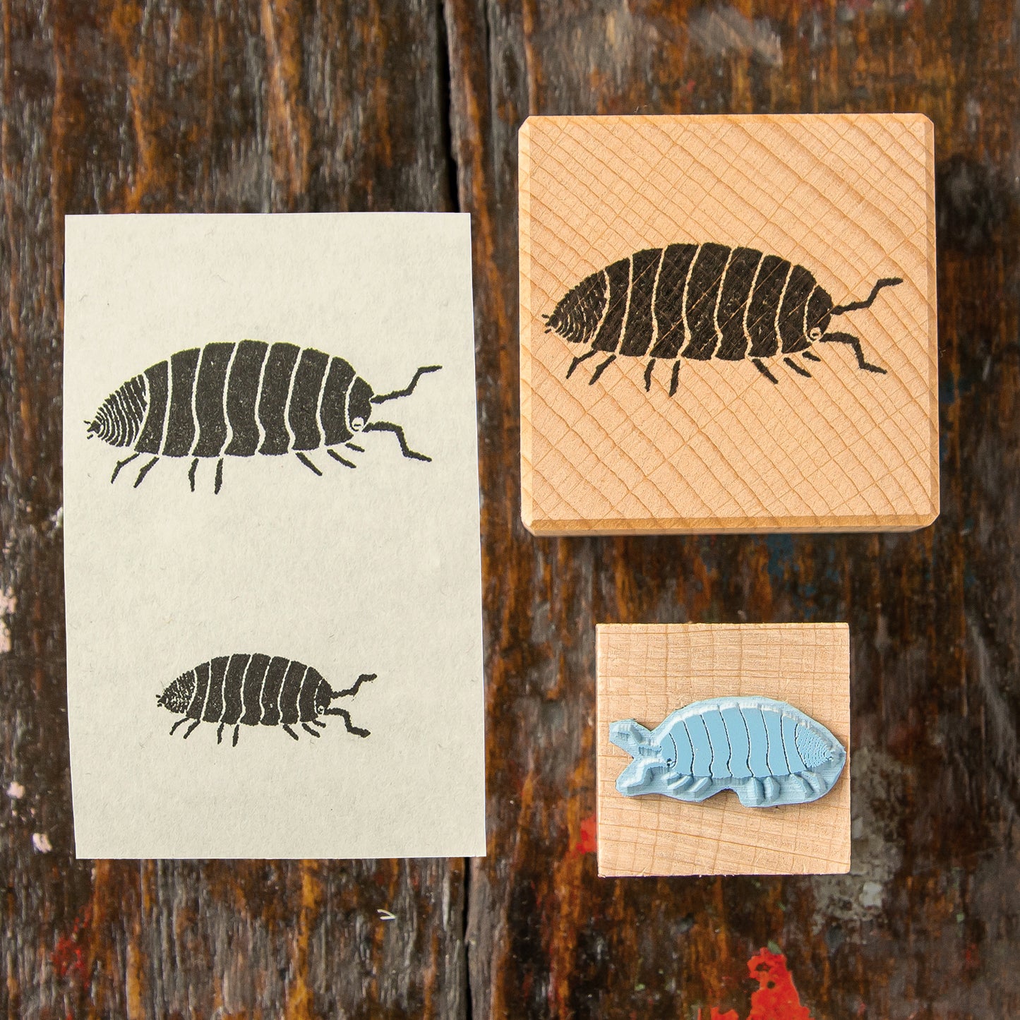 Assel Stempel aus Buchenholz