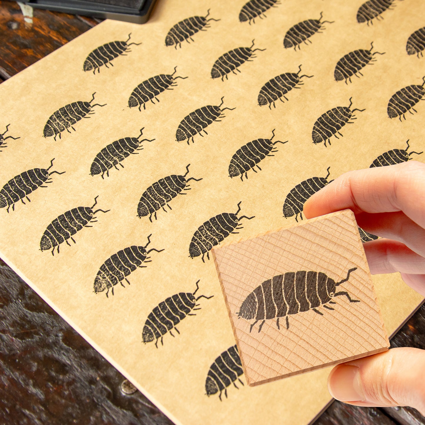 B-Ware Stempel 2er-Set aus Buchenholz Libelle & Assel