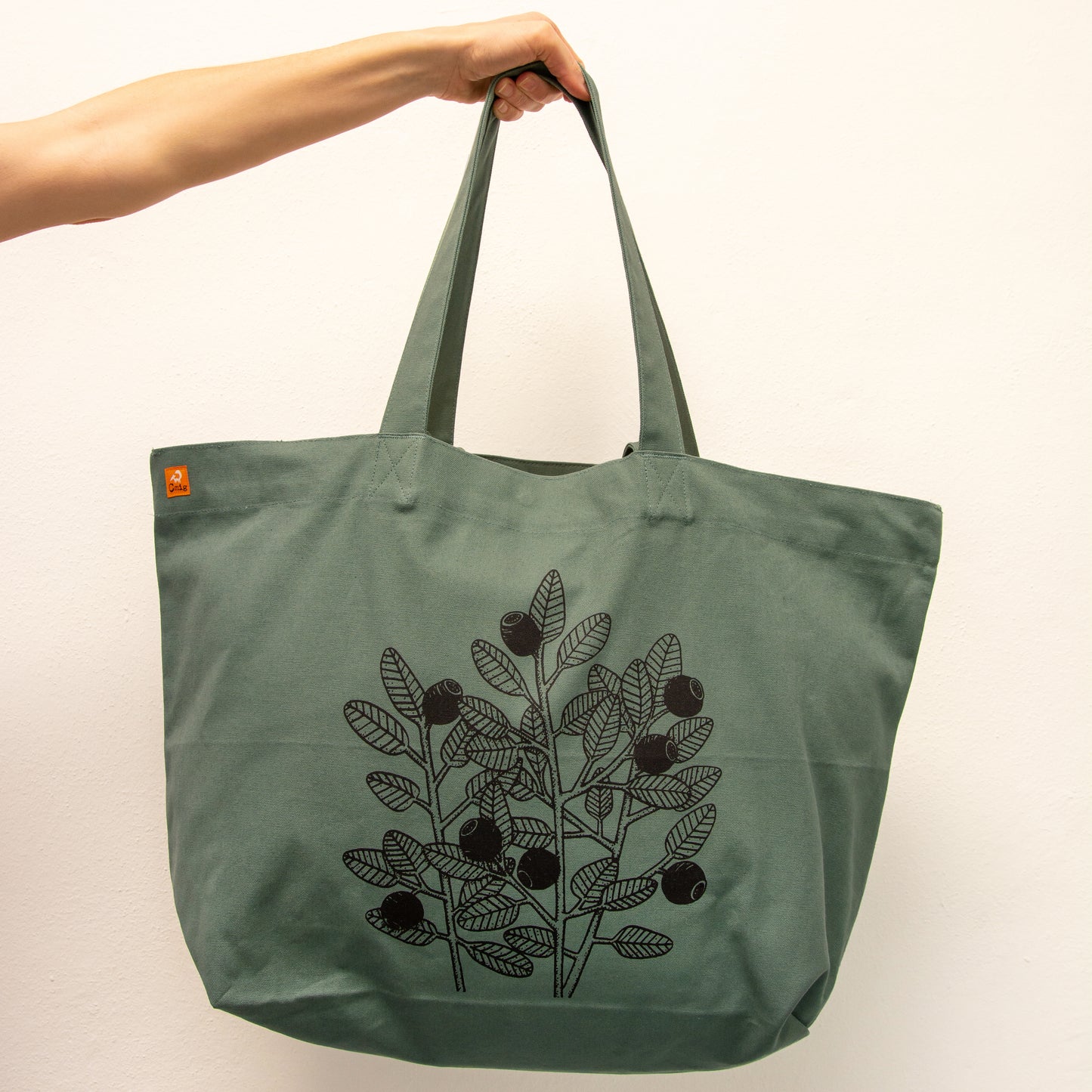 große Tasche Blaubeeren in green bay