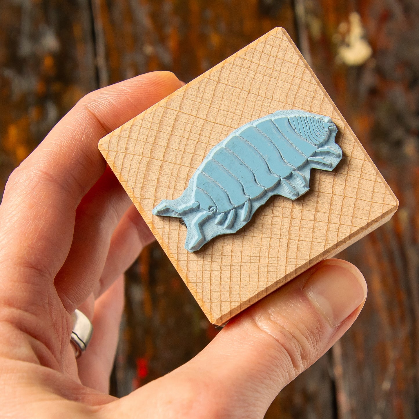 Assel Stempel aus Buchenholz