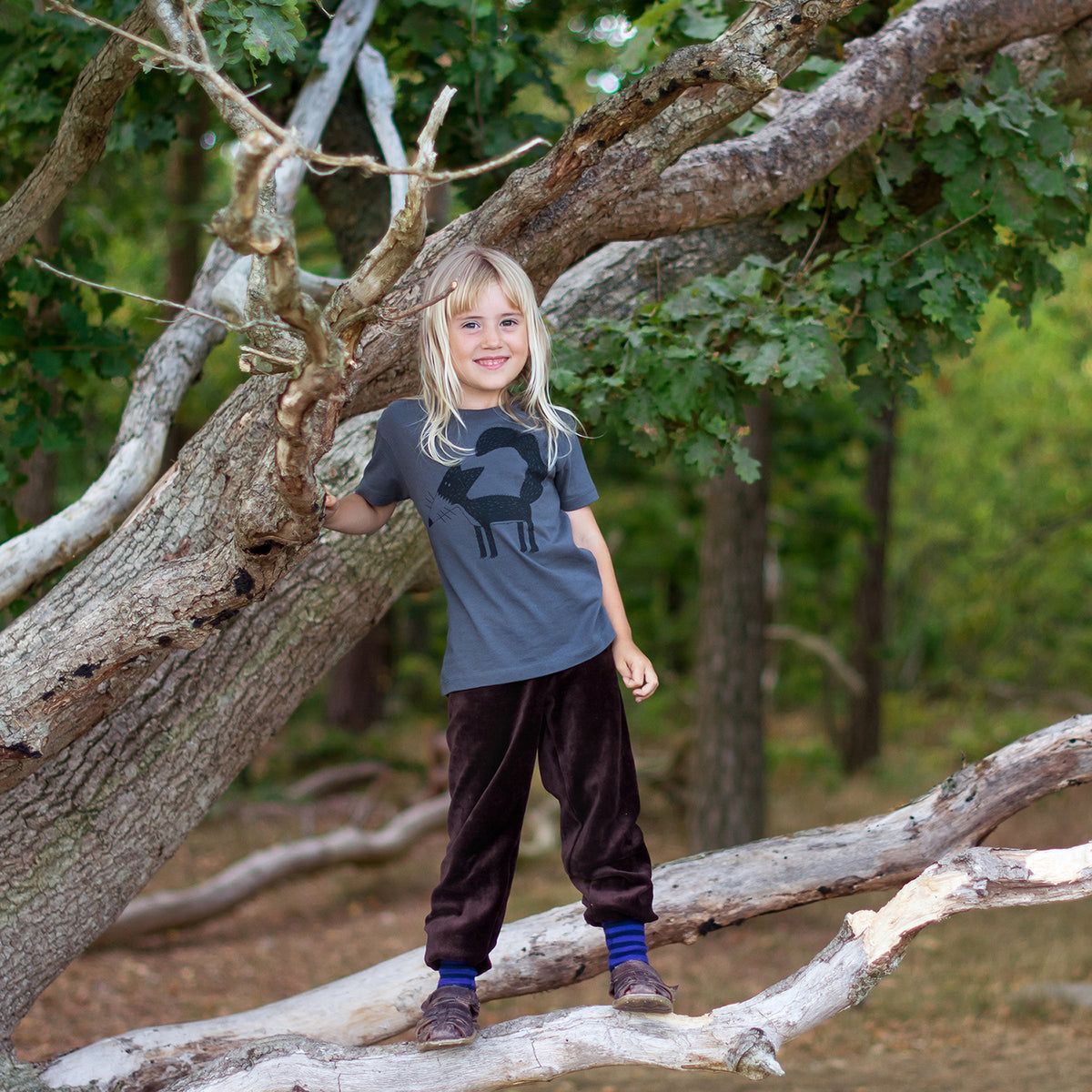 Fuchs T-Shirt für Kinder in anthrazit, getragen von einem Mädchen auf einem baum